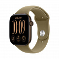 Часы Apple Watch Series 12